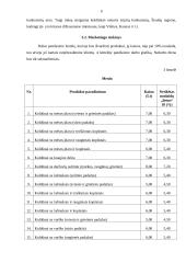 Verslo planas: koldūnų gamyba IĮ "Koldūniukas" 9 puslapis