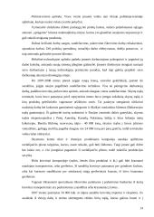 Verslo planas: krovinių krovimas UAB "Krova" 12 puslapis