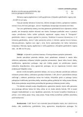 Verslo planas: krovinių krovimas UAB "Krova" 15 puslapis