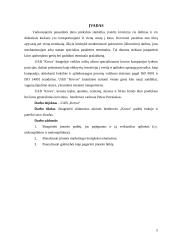 Verslo planas: krovinių krovimas UAB "Krova" 3 puslapis