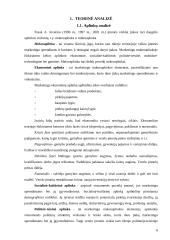 Verslo planas: krovinių krovimas UAB "Krova" 4 puslapis