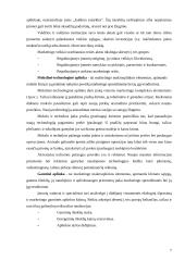 Verslo planas: krovinių krovimas UAB "Krova" 5 puslapis