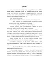 Verslo planas: laukų sausinimas UAB "Sausrida" 2 puslapis
