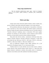 Verslo planas: laukų sausinimas UAB "Sausrida" 11 puslapis