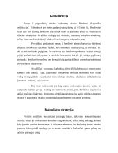 Verslo planas: laukų sausinimas UAB "Sausrida" 12 puslapis