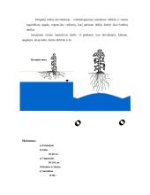 Verslo planas: laukų sausinimas UAB "Sausrida" 4 puslapis