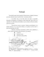 Verslo planas: laukų sausinimas UAB "Sausrida" 7 puslapis