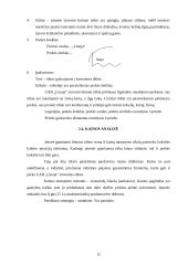 Verslo planas: lininių drabužių siuvykla UAB "Linoja" 12 puslapis