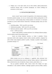 Verslo planas: lininių drabužių siuvykla UAB "Linoja" 16 puslapis