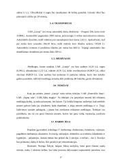 Verslo planas: lininių drabužių siuvykla UAB "Linoja" 17 puslapis