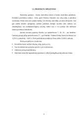 Verslo planas: lininių drabužių siuvykla UAB "Linoja" 6 puslapis