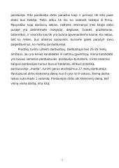 Verslo planas: maisto prekių parduotuvė ĮI "Daivada" 12 puslapis