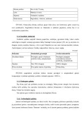 Verslo planas: maitinimo įmonė IĮ "Švyturys" 12 puslapis