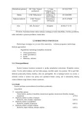 Verslo planas: maitinimo įmonė IĮ "Švyturys" 16 puslapis