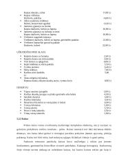 Verslo planas: maitinimo įmonė IĮ "Švyturys" 18 puslapis