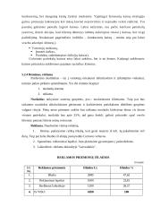 Verslo planas: maitinimo įmonė IĮ "Švyturys" 19 puslapis