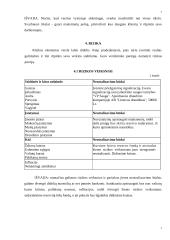 Verslo planas: maitinimo įmonė IĮ "Švyturys" 7 puslapis