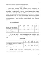 Verslo planas: maitinimo įmonė IĮ "Švyturys" 10 puslapis