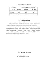Verslo planas: mažmeninė prekyba audiniais IĮ "Liudvilė" 17 puslapis