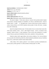 Verslo planas: mažmeninė prekyba audiniais IĮ "Stilius" 3 puslapis