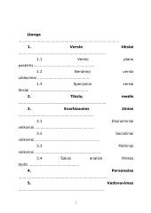 Verslo planas: muzikinis klubas IĮ "Norton" 2 puslapis