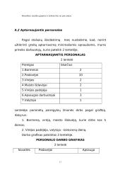 Verslo planas: muzikinis klubas IĮ "Norton" 11 puslapis