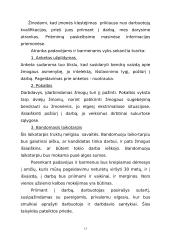 Verslo planas: muzikinis klubas IĮ "Norton" 13 puslapis