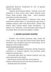 Verslo planas: muzikinis klubas IĮ "Norton" 16 puslapis