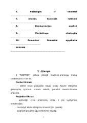 Verslo planas: muzikinis klubas IĮ "Norton" 3 puslapis