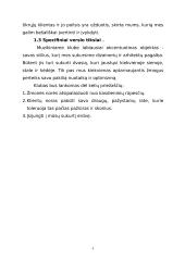 Verslo planas: muzikinis klubas IĮ "Norton" 6 puslapis