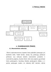 Verslo planas: muzikinis klubas IĮ "Norton" 7 puslapis