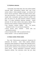 Verslo planas: muzikinis klubas IĮ "Norton" 9 puslapis