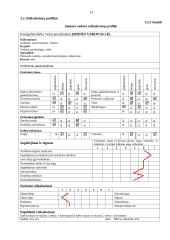 Verslo planas: naktinis klubas "Kuba" 13 puslapis