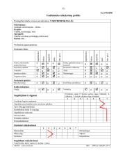 Verslo planas: naktinis klubas "Kuba" 15 puslapis