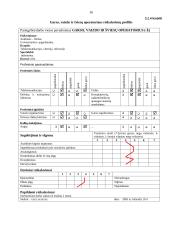 Verslo planas: naktinis klubas "Kuba" 16 puslapis