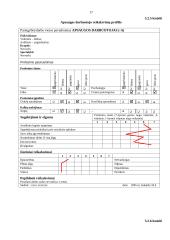 Verslo planas: naktinis klubas "Kuba" 17 puslapis