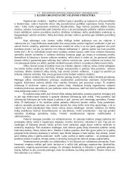 Verslo planas: naktinis klubas "Kuba" 7 puslapis