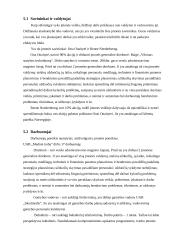 Verslo planas: namų ir pjautos medienos gamyba UAB "Medinė troba" 20 puslapis