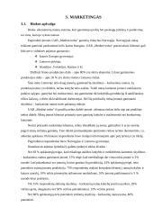 Verslo planas: namų ir pjautos medienos gamyba UAB "Medinė troba" 8 puslapis