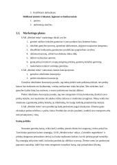 Verslo planas: namų ir pjautos medienos gamyba UAB "Medinė troba" 10 puslapis