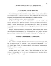 Verslo planas: Petrašiūnų elektrinės rekonstrukcija 12 puslapis
