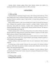Verslo planas: pirties paslaugos UAB "Svaja" 11 puslapis