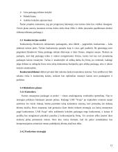 Verslo planas: pirties paslaugos UAB "Svaja" 12 puslapis