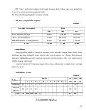 Verslo planas: pirties paslaugos UAB "Svaja" 13 puslapis