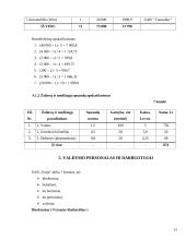 Verslo planas: pirties paslaugos UAB "Svaja" 15 puslapis