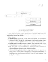 Verslo planas: pirties paslaugos UAB "Svaja" 17 puslapis