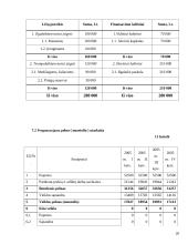 Verslo planas: pirties paslaugos UAB "Svaja" 20 puslapis