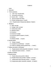 Verslo planas: pirties paslaugos UAB "Svaja" 3 puslapis