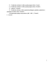 Verslo planas: pirties paslaugos UAB "Svaja" 4 puslapis