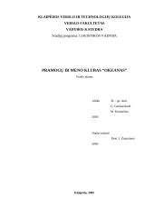 Verslo planas: pramogų ir meno klubas "Okeanas"